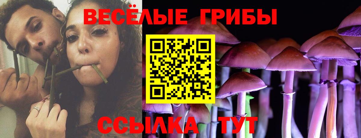 Псилоцибиновые грибы Psilocybe  Вход с VPN  Стрежевой 